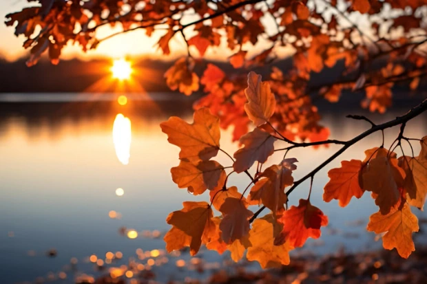Musim Gugur dan Refleksi di Tengah Kehidupan Modern