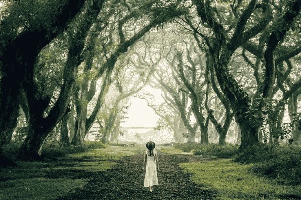 Lokasi De Djawatan dan Awal Perkembangannya