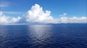 Air Laut Selalu Asin, Kebetulan Alam atau Pesan Kehidupan