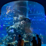 SEA Aquarium Singapore, Ikon Wisata Bawah Laut Asia Tenggara