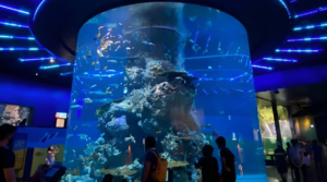 SEA Aquarium Singapore, Ikon Wisata Bawah Laut Asia Tenggara
