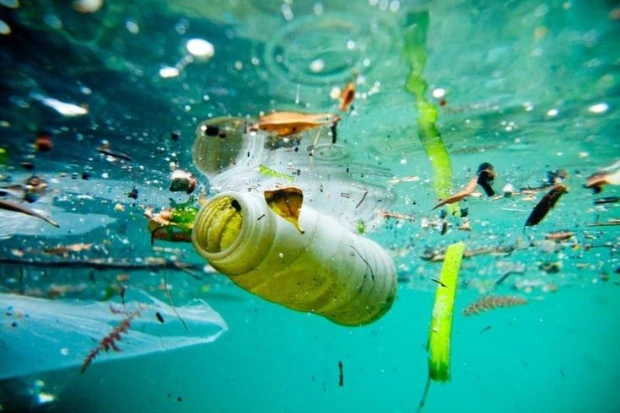 Eksploitasi Alam sebagai Penyebab Kerusakan Lingkungan