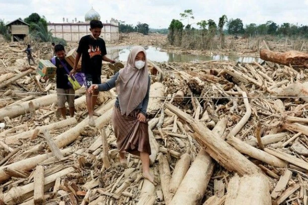 Keserakahan Manusia yang Terstruktur